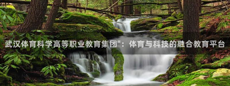 武汉体育科学高等职业教育集团\