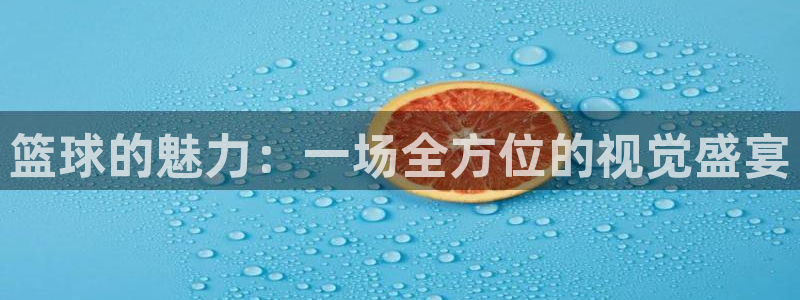 篮球的魅力：一场全方位的视觉盛宴