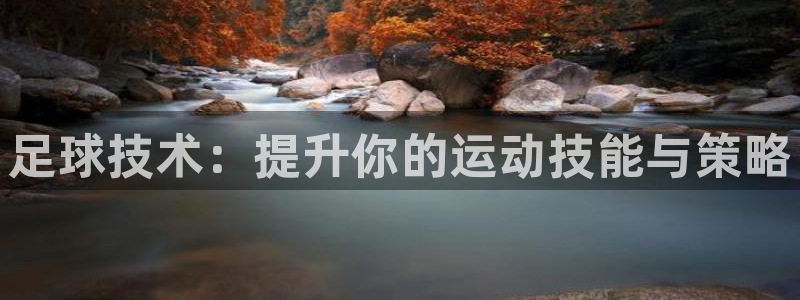 足球技术：提升你的运动技能与策略