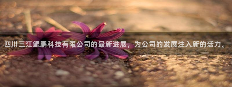 四川三江鲲鹏科技有限公司的最新进展，为公司的发展注入新的活力。