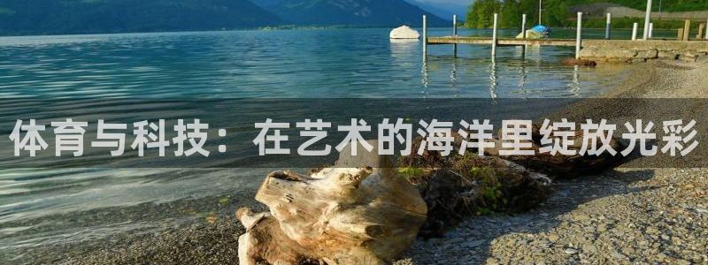 体育与科技：在艺术的海洋里绽放光彩
