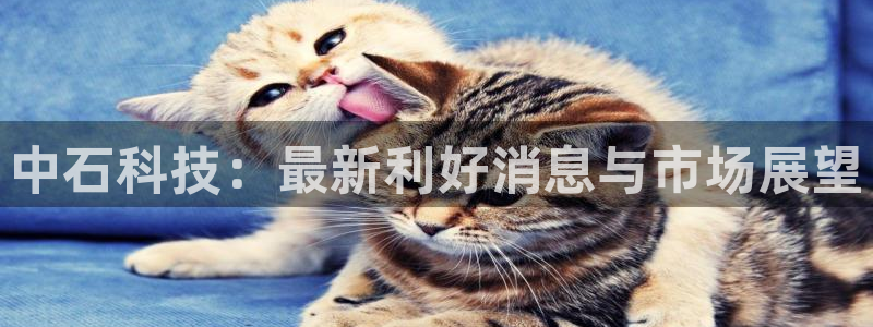 中石科技：最新利好消息与市场展望