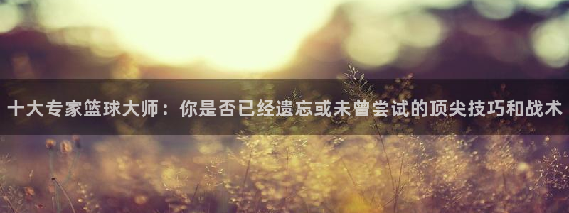 十大专家篮球大师：你是否已经遗忘或未曾尝试的顶尖技巧和战术