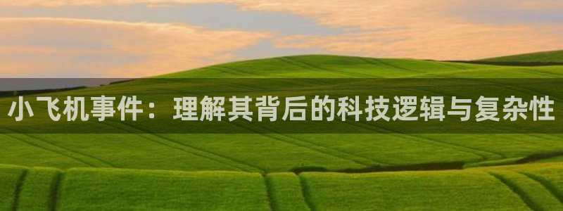 小飞机事件：理解其背后的科技逻辑与复杂性